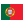 UK Study Info in Portuguese
